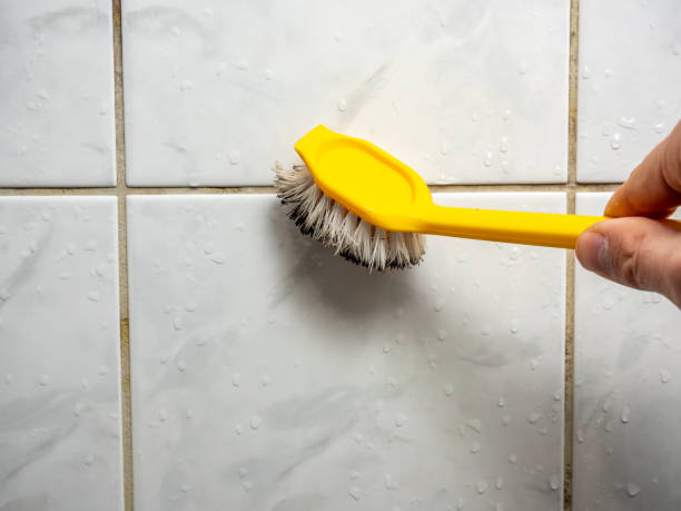 Best Professional Mold Removal  in Mohnton, PA