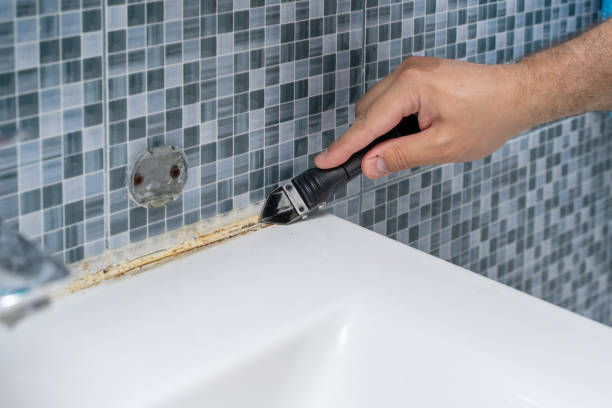 Best Mold Testing and Removal  in Mohnton, PA